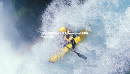 【九游体育官网】SLi中国区海选尘埃落定 BraveHeart豪取唯一出征席位